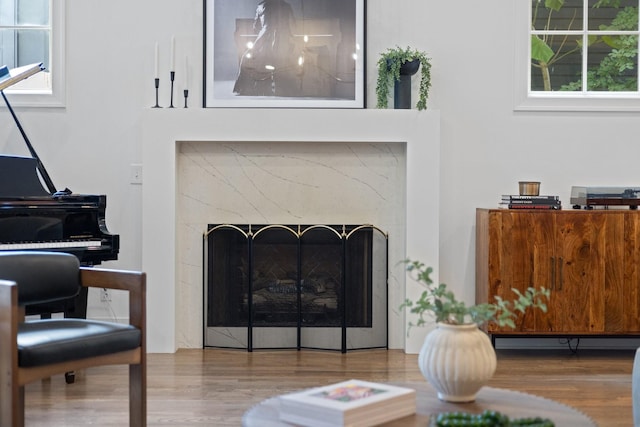 living room featuring a wealth of natural light, a premium fireplace, and hardwood / wood-style flooring