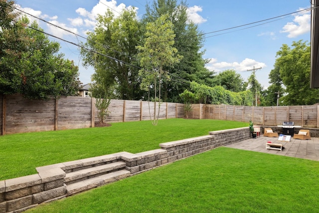 view of yard with a patio