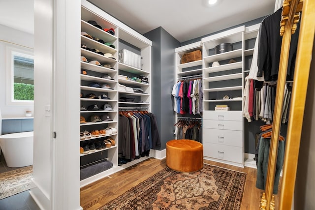 spacious closet with dark hardwood / wood-style flooring