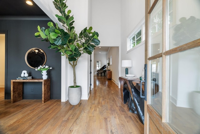 entrance foyer with hardwood / wood-style floors