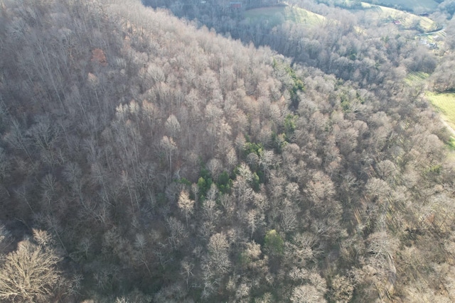 0 Club Springs Rd, Elmwood, TN 38560 - photo 8