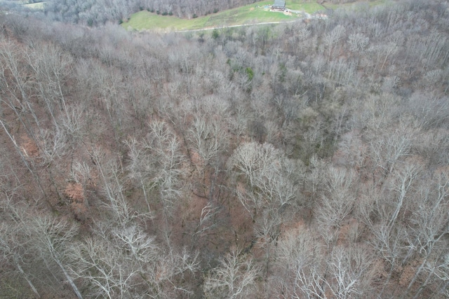 0 Club Springs Rd, Elmwood, TN 38560 - photo 11