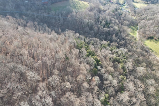 0 Club Springs Rd, Elmwood, TN 38560 - photo 15