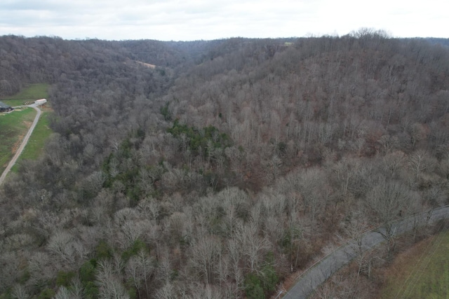 0 Club Springs Rd, Elmwood, TN 38560 - photo 4