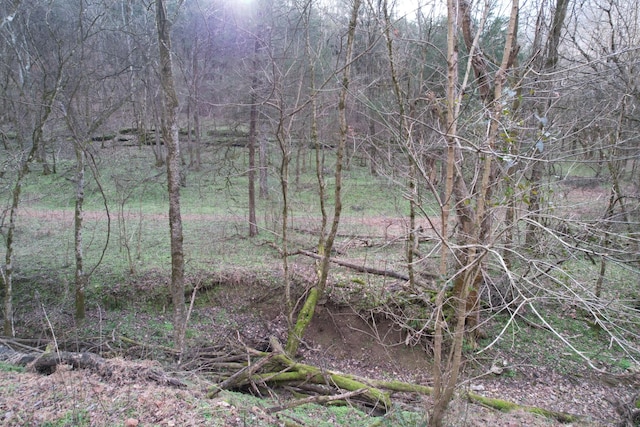 0 Club Springs Rd, Elmwood, TN 38560 - photo 21
