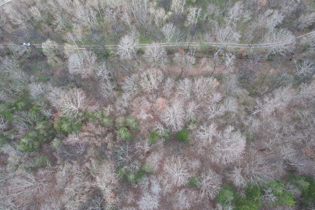 0 Club Springs Rd, Elmwood, TN 38560 - photo 13