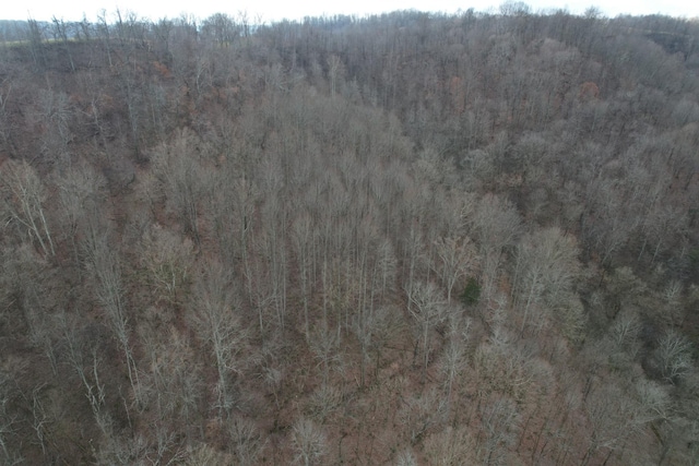 0 Club Springs Rd, Elmwood, TN 38560 - photo 10