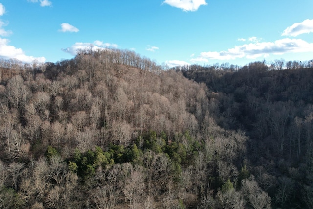 0 Club Springs Rd, Elmwood, TN 38560 - photo 6