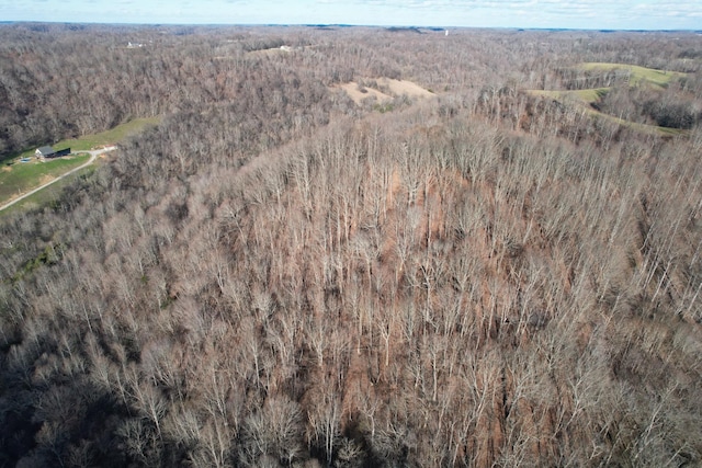 0 Club Springs Rd, Elmwood, TN 38560 - photo 7