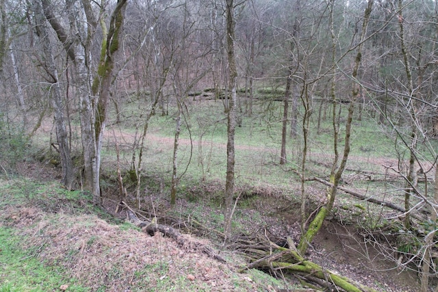 0 Club Springs Rd, Elmwood, TN 38560 - photo 20
