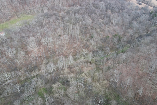 0 Club Springs Rd, Elmwood, TN 38560 - photo 9