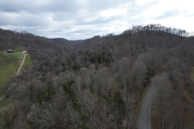 0 Club Springs Rd, Elmwood, TN 38560 - photo 5
