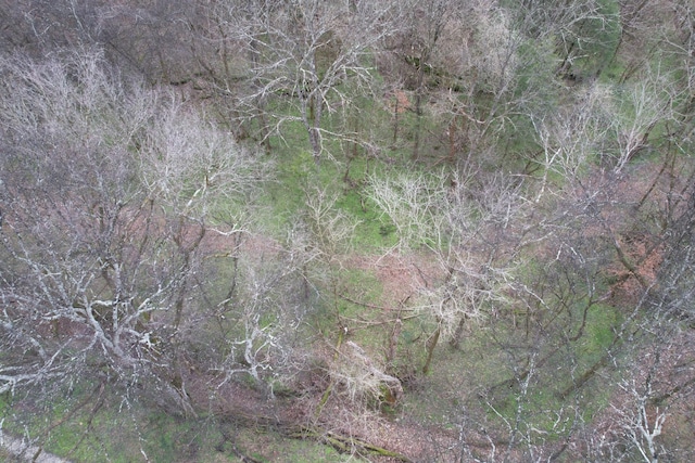 0 Club Springs Rd, Elmwood, TN 38560 - photo 18