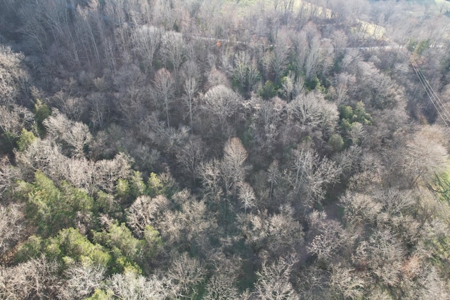 0 Club Springs Rd, Elmwood, TN 38560 - photo 17