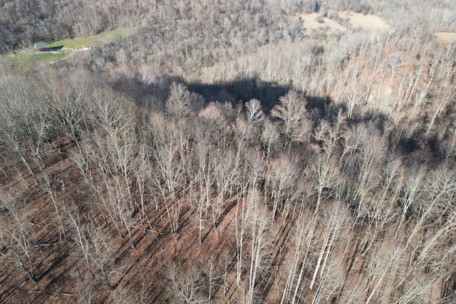 0 Club Springs Rd, Elmwood, TN 38560 - photo 14