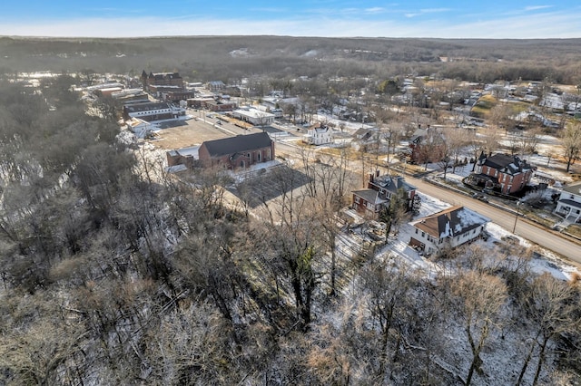 bird's eye view