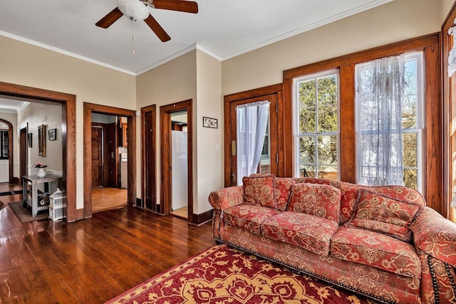 living room with crown molding, dark hardwood / wood-style flooring, and ceiling fan