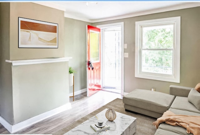 living room featuring light hardwood / wood-style floors