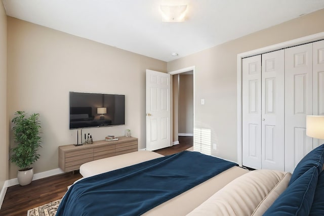 bedroom featuring dark hardwood / wood-style flooring and a closet