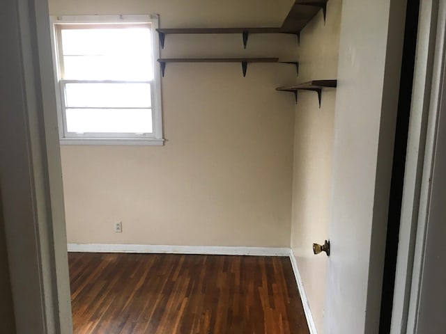 interior space featuring dark hardwood / wood-style flooring