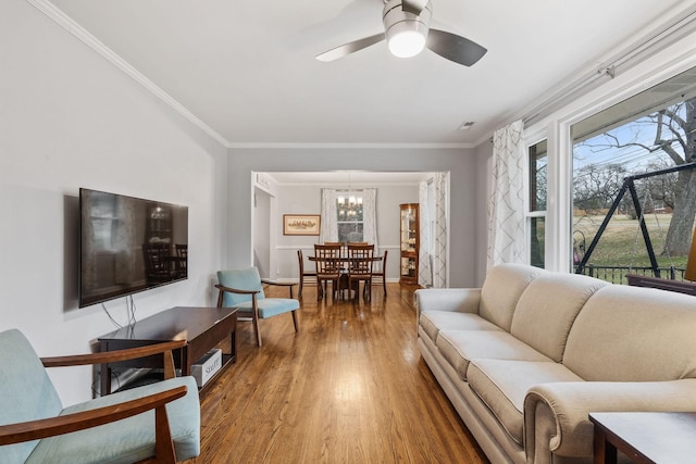 living room featuring ceiling fan with notable chandelier, wood-type flooring, crown molding, and a wealth of natural light