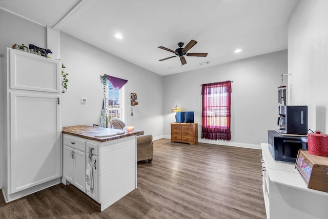 office with a wealth of natural light, ceiling fan, and dark wood-type flooring