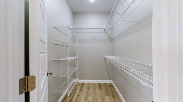 spacious closet featuring light wood-type flooring