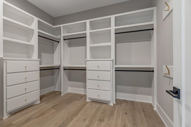 spacious closet with light hardwood / wood-style flooring