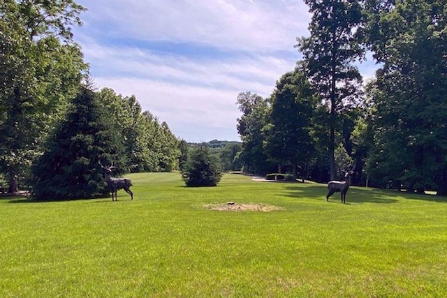 0 Tomahawk Blvd, Cadiz, KY 42211