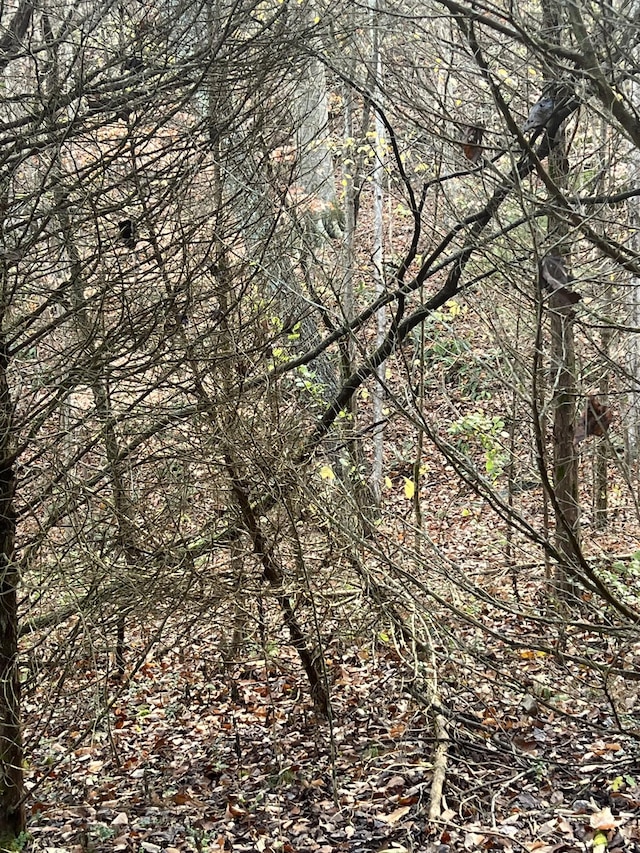 0 Burkesville Hwy, Celina, TN 38551 - photo 5
