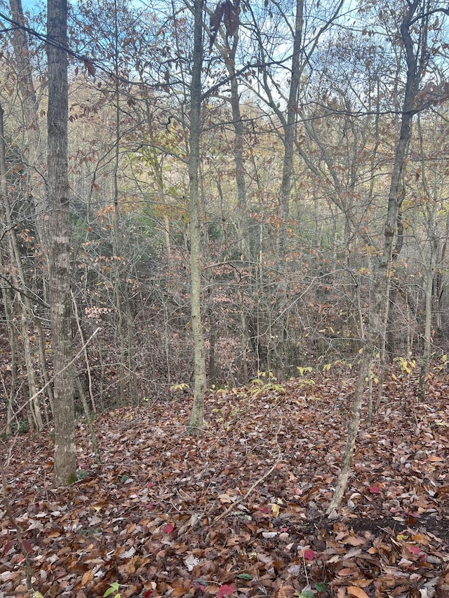 0 Burkesville Hwy, Celina, TN 38551 - photo 10