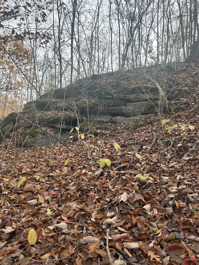 0 Burkesville Hwy, Celina, TN 38551 - photo 8