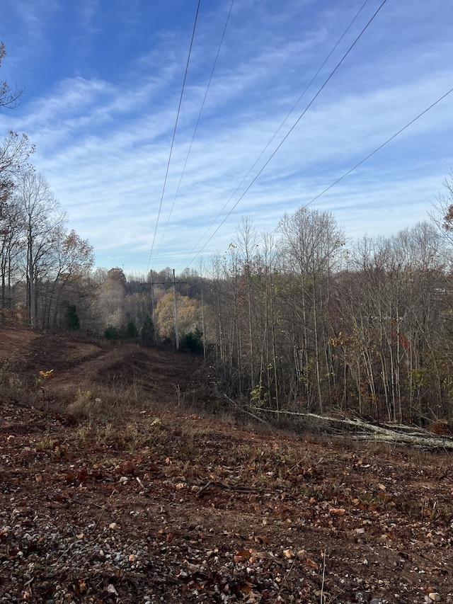 0 Burkesville Hwy, Celina, TN 38551 - photo 9