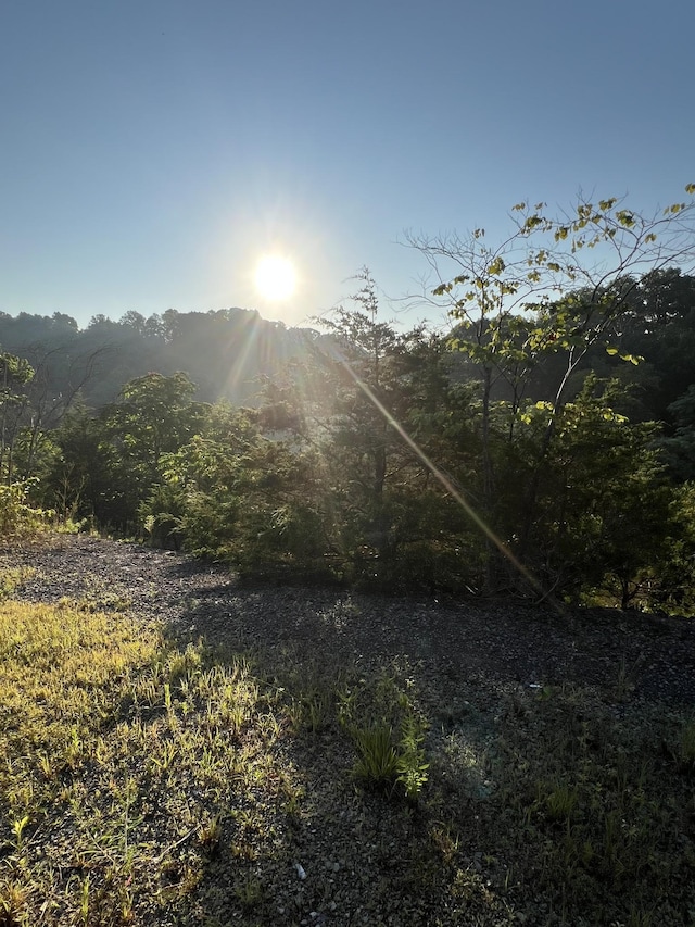 0 Burkesville Hwy, Celina, TN 38551 - photo 12