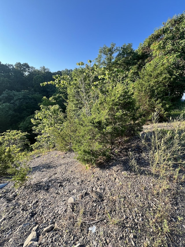 0 Burkesville Hwy, Celina, TN 38551 - photo 15