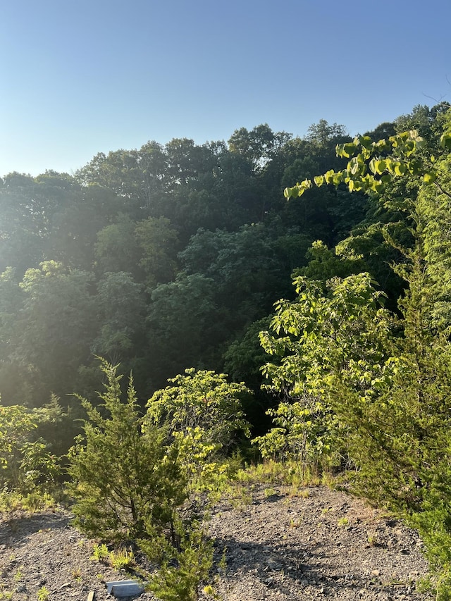 0 Burkesville Hwy, Celina, TN 38551 - photo 19
