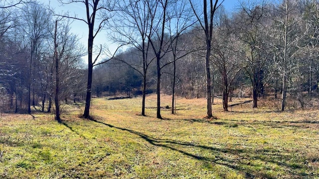 Listing photo 2 for 0 Rivers Edge Ln, Woodbury TN 37190