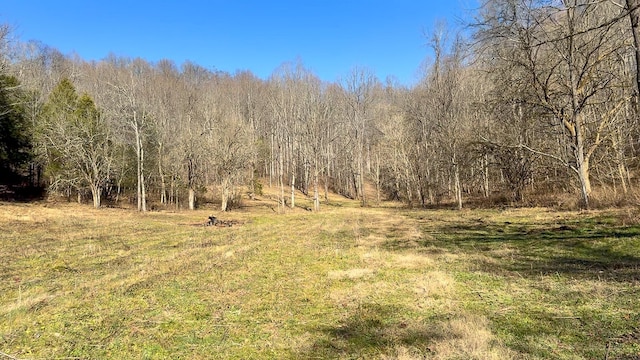 0 Rivers Edge Ln, Woodbury TN, 37190 land for sale