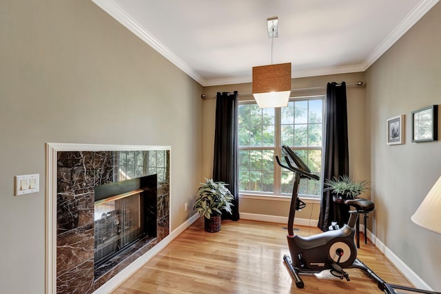 exercise area with a fireplace, light hardwood / wood-style flooring, plenty of natural light, and ornamental molding