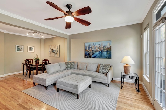 living room with ceiling fan, crown molding, and light wood-type flooring