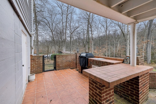 view of patio / terrace featuring a grill