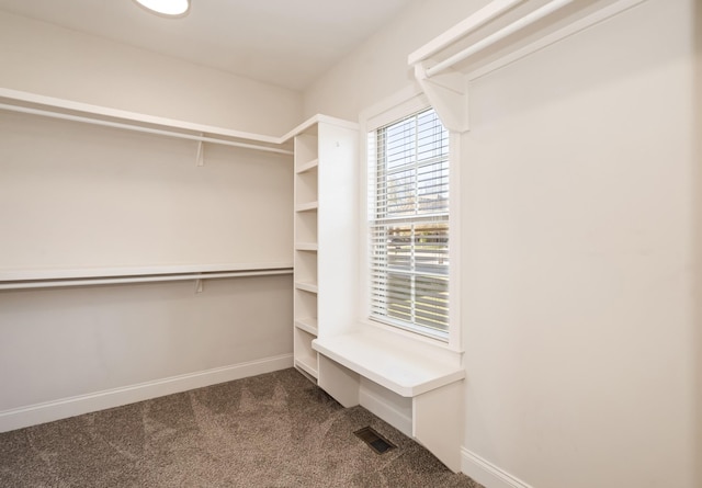 spacious closet with dark carpet