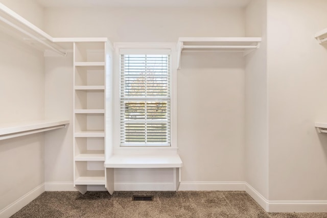 walk in closet with carpet