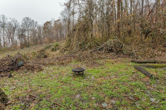 view of yard featuring an outdoor fire pit