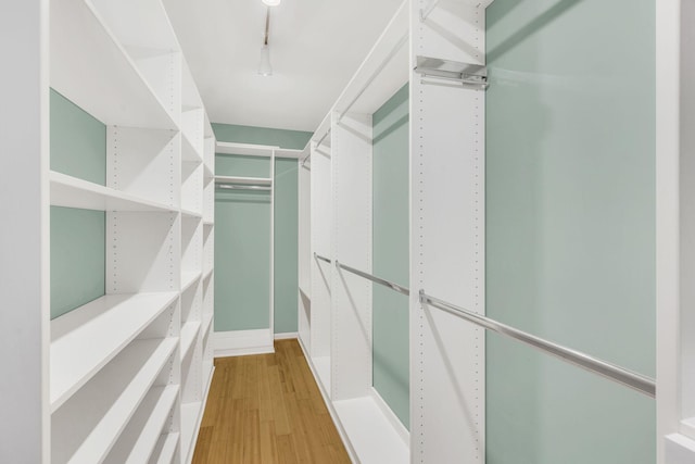 walk in closet featuring wood-type flooring