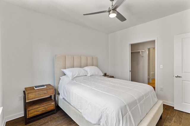 bedroom with a closet, a spacious closet, ceiling fan, and dark wood-type flooring