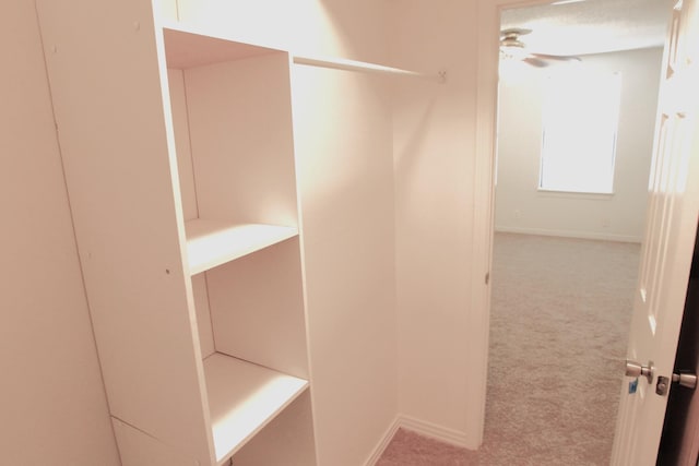 spacious closet featuring light colored carpet and ceiling fan