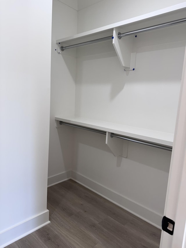 spacious closet with dark wood-style flooring