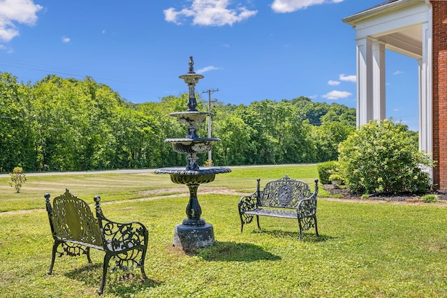 view of community with a lawn