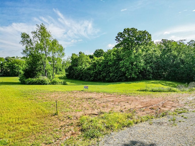 3189B Greens Mill Rd, Spring Hill, TN 37174 - photo 5